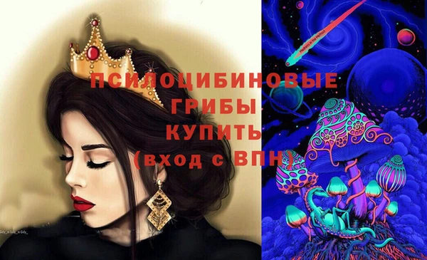 гидропоника Богородск