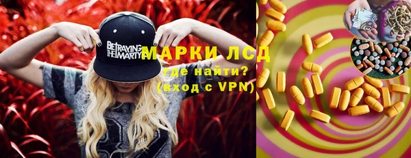 ECSTASY Пересвет