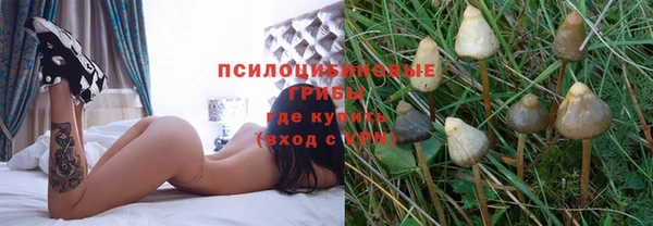 кристаллы Богородицк