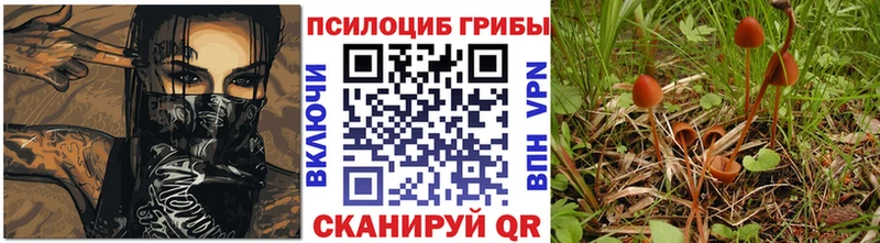 Псилоцибиновые грибы ЛСД  нарко площадка наркотические препараты  Клинцы 